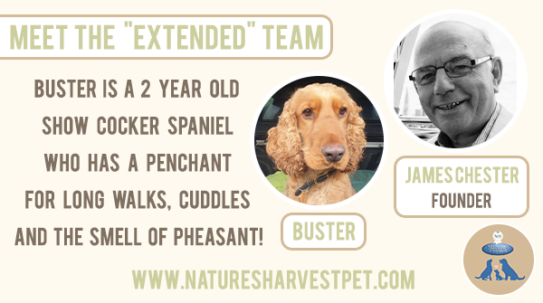 NHPetfood's tweet photo. James has had many dogs in his lifetime all with different characters and traits 🐶

He is currently Grandfather to Buster, a 2 year old show Cocker Spaniel who has a penchant for long walks, cuddles and the smell of pheasant! 😄

#dogsoftwitter #cockerspaniel #FriendsofNH https://t.co/6PXZPtNhqi