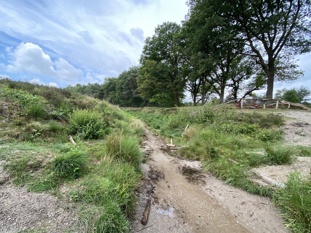 robbertd's tweet image. Wolfheze - Kievitsdel, The Netherlands