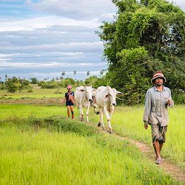 S3IDF's tweet image. "A New Test for Old Technology: How COVID-19 is Sparking Innovation in PayGo Financing for #Biodigesters" via @nextbillion: buff.ly/30NqHz3