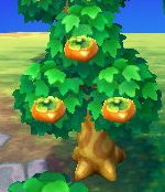 also as  @Otter_Grace has reminded me THE OTHER FRUIT TREESwhy were they removed