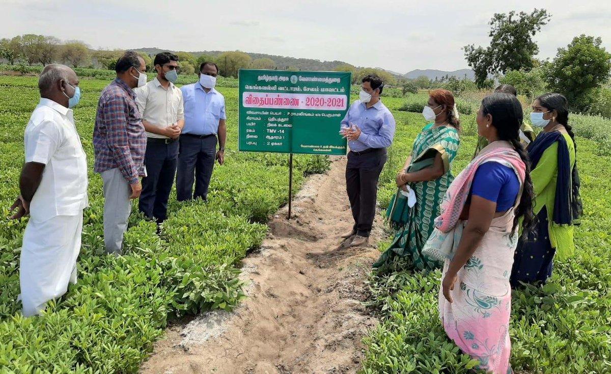 சேலம் மாவட்டம், தலைவாசல் ஊராட்சி ஒன்றியத்தில், வேளாண்மைத்துறை சார்பில் விதைபண்ணை திட்டத்தின் கீழ் TMV 14 ரக நிலக்கடலை, 2 ஏக்கர் பரப்பளவில் பயிரிடப்பட்டுள்ளதை நேரில் பார்வையிட்டு ஆய்வு மேற்கொண்டபோது..
<a href="/SalemCollector/">Salem District Collector News</a> #Salem