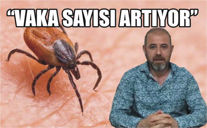 KKKA Taşıyıcı Kenelere Dikkat!

Aksaray Veteriner Hekimleri Odası Başkanı Önder Yıldız her yıl gündeme gelen ve sıklıkla uyarılara neden olan Kırım Kongo Kanamalı Ateşi (KKKA)’nın görülmesine engel olunması için kenelerle mücadelenin kararlılıkla sürdürülmesi gerektiğini söyledi.