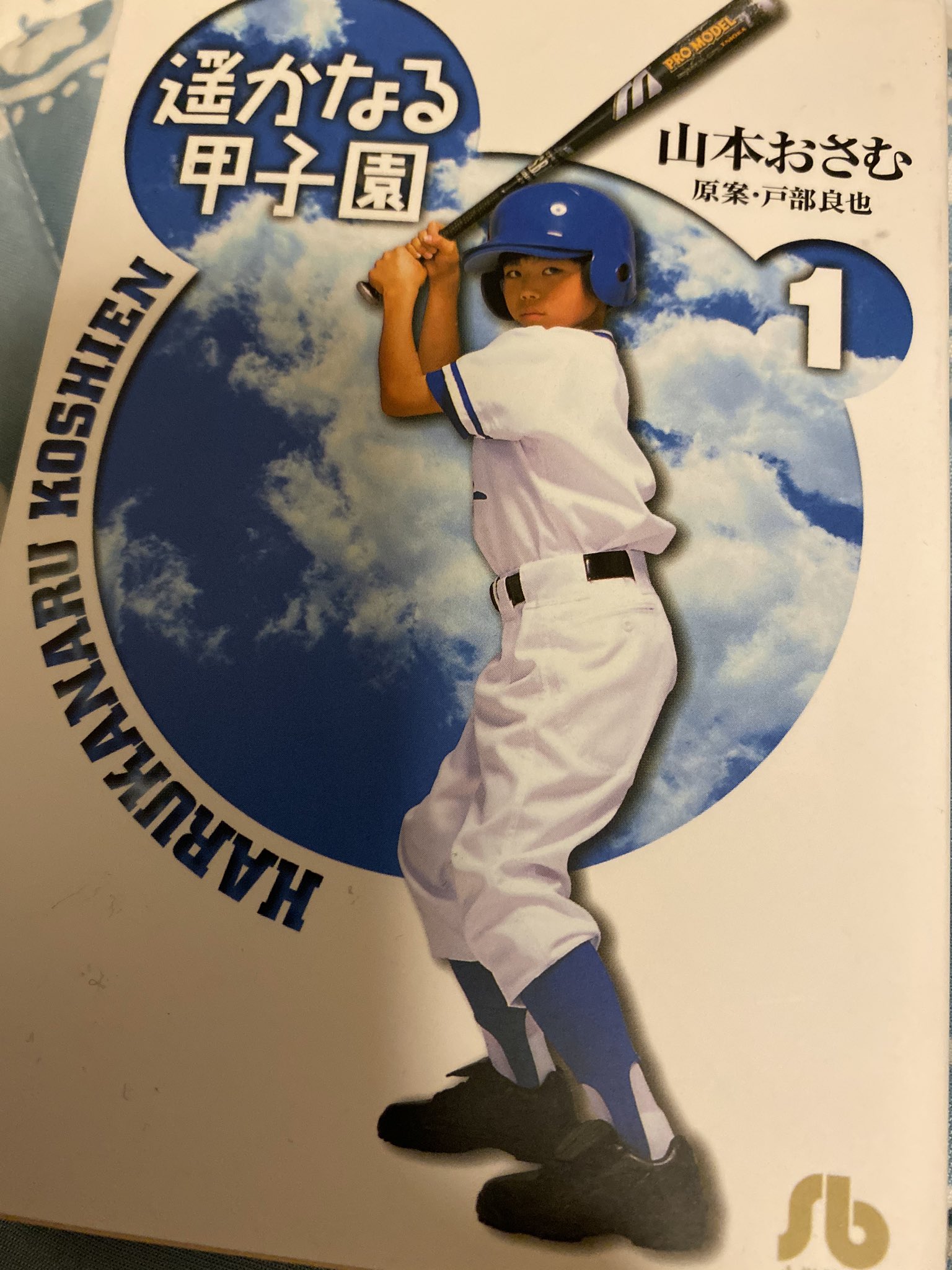 تويتر ダイノジ大谷 على تويتر プロ野球 開幕前夜 これ読んでる 遥かなる甲子園 T Co 4qkwaobnub