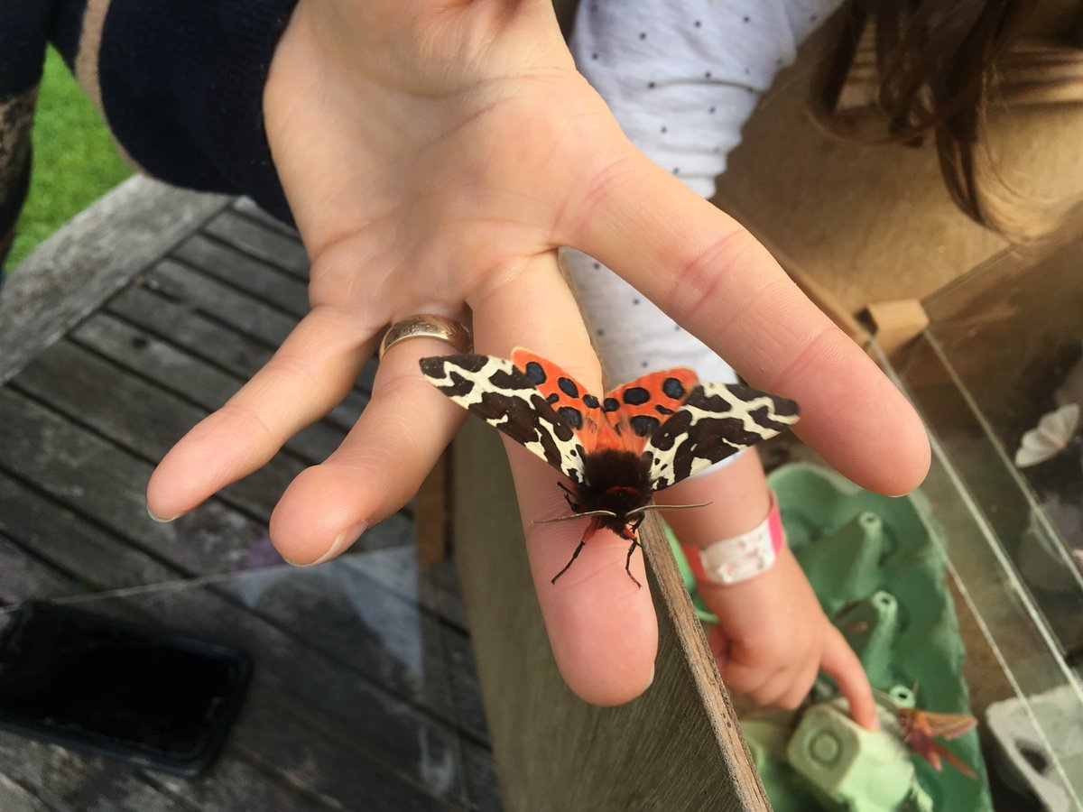 Next Tuesday, 7.30pm, @swseic will be giving a run down of what we can see in gardens and communities, exploring how wildlife records are captured + how you can find out what has been recorded.

Suitable for the whole family, reserve your free place here: eventbrite.co.uk/e/wildlife-at-…