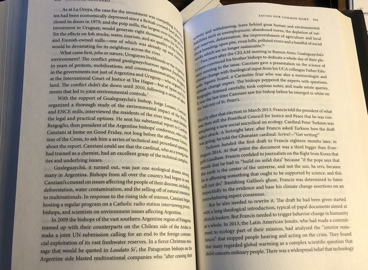 Five years ago today, Pope Francis published the most far-reaching and influential social teaching since Leo XIII’s Rerum Novarum in 1891. In #WoundedShepherd I offer the first account of where #LaudatoSi came from and why Francis saw that this was its time. #LaudatoSi5