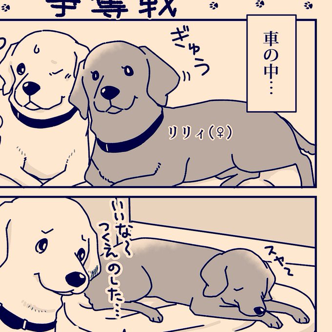 真希ナルセ マキ Gin2rou さんのマンガ一覧 リツイート順 ツイコミ 仮 真希ナルセ マキ Gin2rou さんのマンガ一覧 リツイート順 ツイコミ 仮