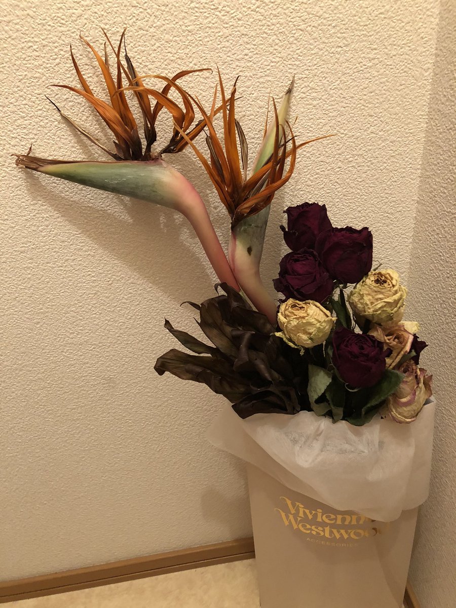 おちゃらけ らぁさん 便所にも枯れた花が ドライフラワー 薔薇 極楽鳥花 トイレ 変な草 おちゃらけ らぁさん 便所にも枯れた花が ドライフラワー 薔薇 極楽鳥花 トイレ 変な草