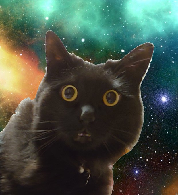 スペキャのtwitterイラスト検索結果 古い順