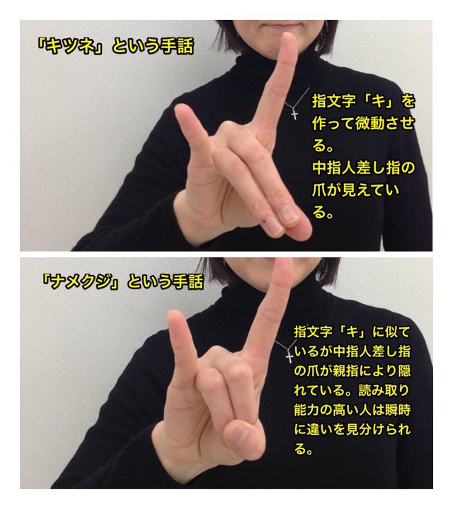 Media Tweets By 手話のマメ知識 Sgnlnggjpn Twitter