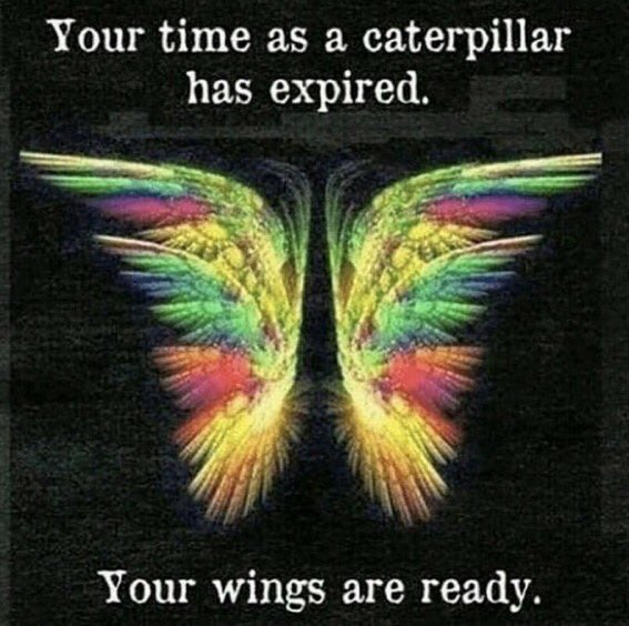 JJCS_TShaw's tweet photo. GM @CatenaColts SuperKids! As we send you off into summer we remember all the ways you’ve grown #catenastrong this year. We will miss you, it’s time for you to spread your wings and fly! 💚🦋💚 #jjcsfly1920 @JJCsupervisor https://t.co/isHERXqFF0