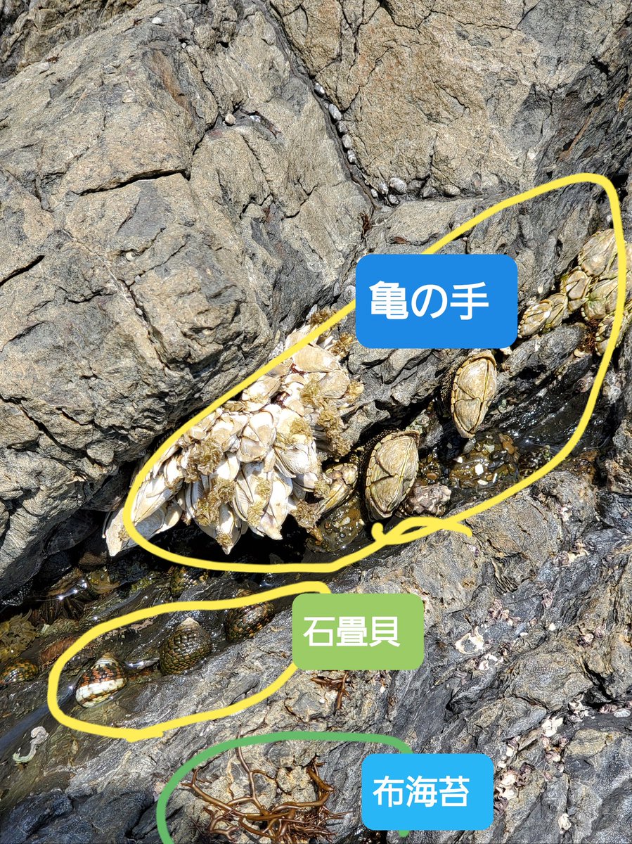 ユダ 正体不明だと怖いですね ところで給付金でipad Pro10を買いました 安倍総理お疲れ様です 安倍総理頑張れ 安倍総理ありがとうございます 安倍総理を支持します ユダ 正体不明だと怖いですね ところで給付金でipad Pro10を買いました 安倍総理お疲れ様です 安倍総理頑張れ 安倍総理ありがとうございます 安倍総理を支持します