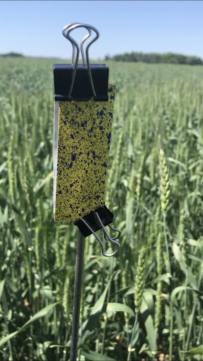 Brad Garlough tweet media