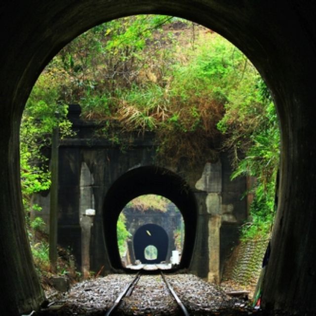 On a donc adapté le réseau à un certain gabarit.Les ponts, les tunnels, les quais, tout est normé.Chaque pays européen faisait à peu prés sa sauce au début. Mais on vite compris qu'il fallait unifier tout ça.C'est le GABARIT UIC Europe.