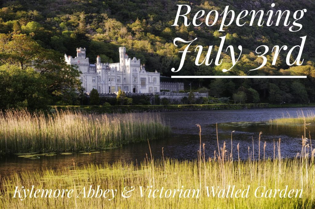 EFJ Engineering tweet media