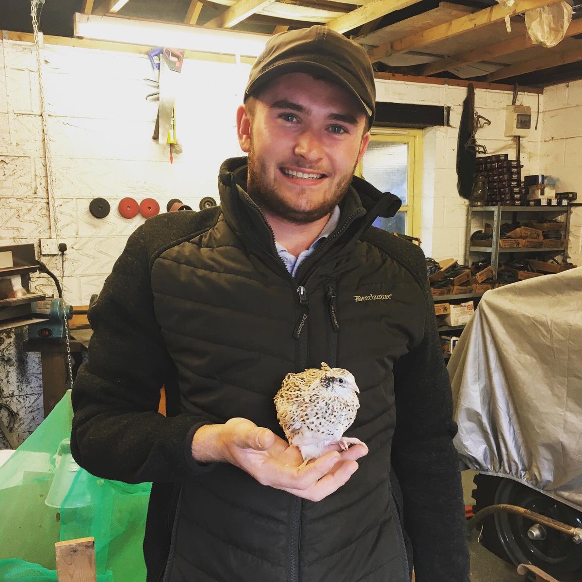 AnnaPerrott1's tweet photo. I regret not brushing my hair but I did get to cuddle a quail eeek!! Full story on @BBCNorfolk
#quailsofinstagram #babybirds #stripes #norfolk https://t.co/mHW8ML6S2Z