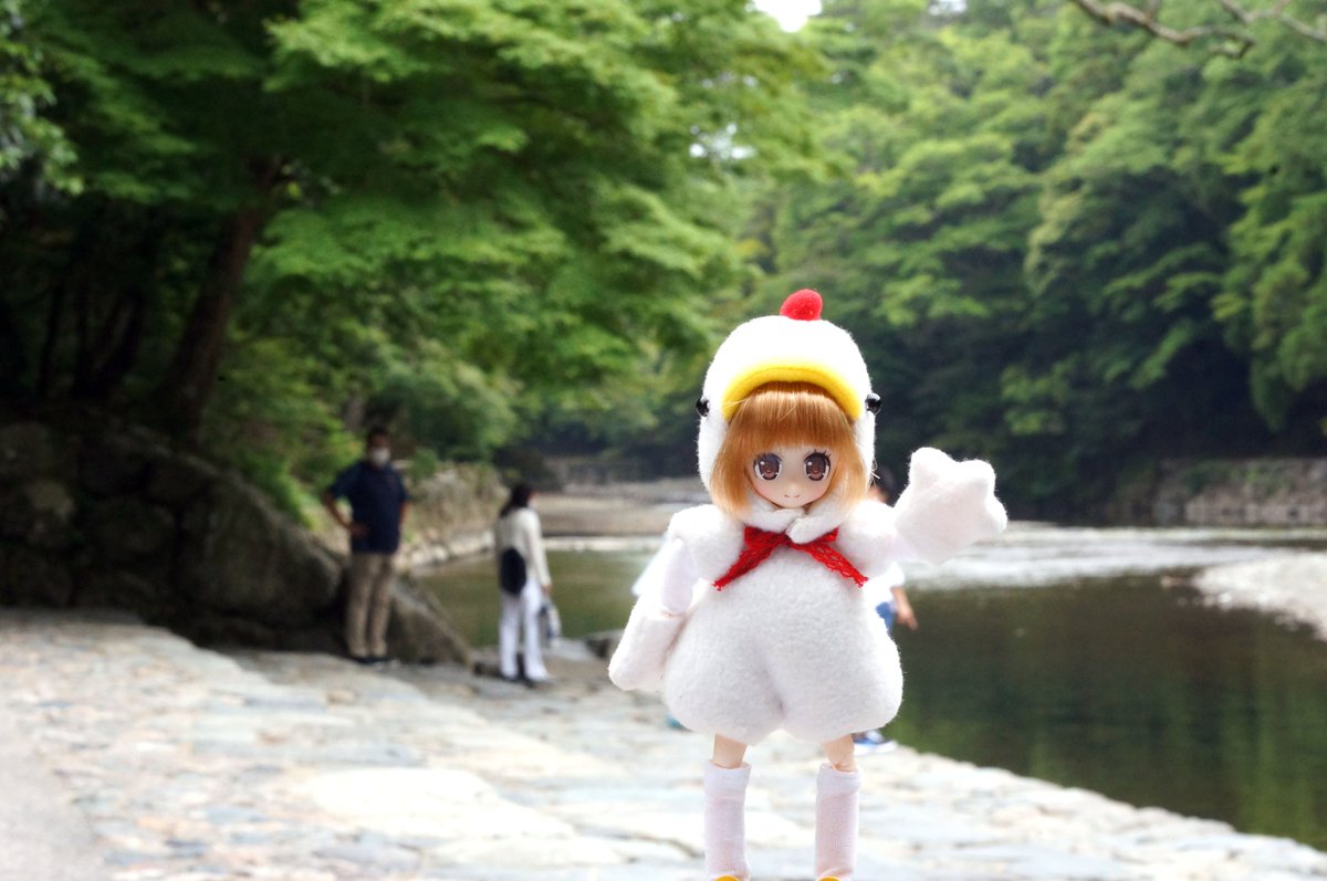 ccsakura1996's tweet image. 宇治橋です
式年遷宮で一緒に新しくなりました
下から見ると尚きれいですね
今はコロ助のせいで手水に柄杓がありません
内宮から五十鈴川に降りられるので川で手を洗っても良いです
魚が跳ねた?
#アゾカツ #うちの子かわいい #LilFairy #リルフェアリー #ドール野外撮影 #伊勢神宮