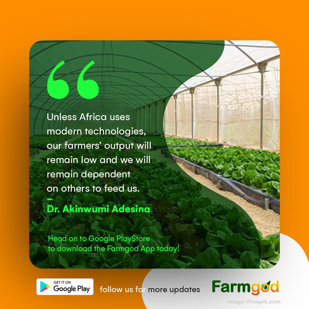 OfficialFarmgod's tweet photo. What modern technologies are you using to make your farming process more productive? 

Share with us in the comment section 😊
.
.
#Farmgod #FarmgodApp #FarmTech #ModernTechnology #Agriculture #Farmers #Farming #Farm #FarmManagement #FarmLife #FarmQuotes #AgroTech #AgroTechnology https://t.co/yvG9OB9NlG