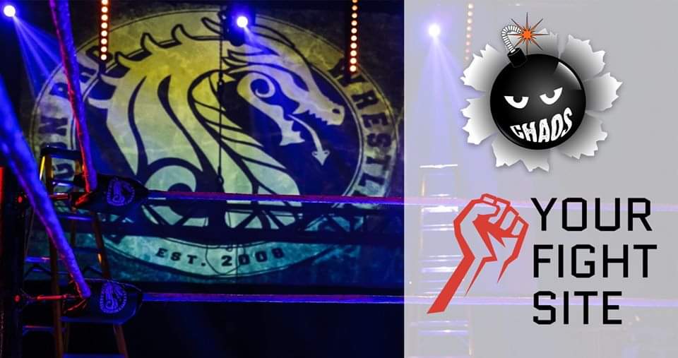 Dragon Pro UK tweet media