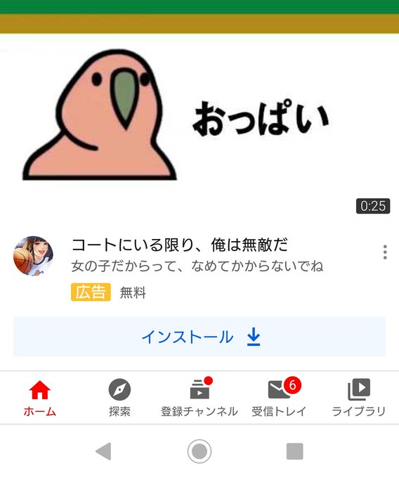 パーティーパロットのtwitterイラスト検索結果