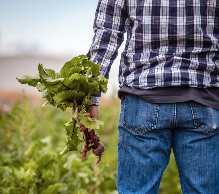 🥦 Gastronomía + sostenible: son dos conceptos que nos definen a la perfección.

👩‍🌾 👨‍🌾 Seguimos dando protagonismo a las comunidades de pequeños productores locales.

🌎 Siempre respetando al medio ambiente y reduciendo el desperdicio alimentario.

#DíaGastronomíaSostenible