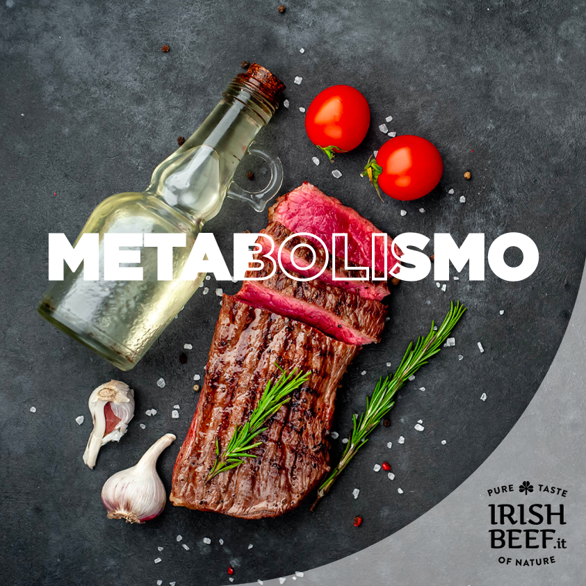 La carne rossa si rivela un’ottima fonte nutrizionale di proteine e di altri elementi fondamentali per il nostro metabolismo e la nostra salute.