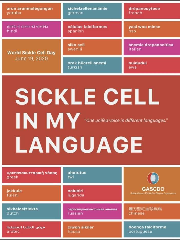 FMDTsosglobi's tweet photo. Pour la Journée Mondiale de la #Drépanocytose, #JMLCD @SCDglobal invite les assos et les acteurs impliqués à participer à la campagne #SickleCellinmyLanguage (La drépanocytose dans ma langue)
#sicklecell #scdglobal
#GASCDO
#WSCD2020 #sicklecellawareness #sicklecelladvocacy https://t.co/2GVncrSsMl
