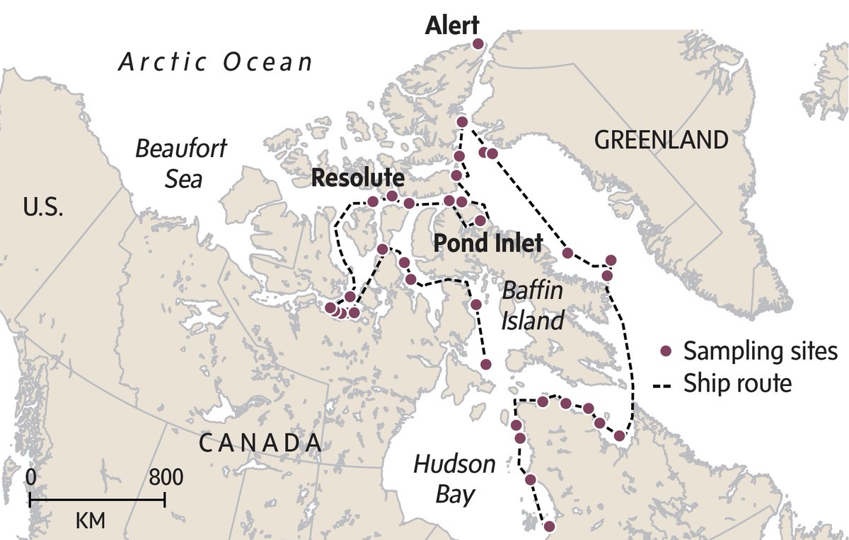 IvanSemeniuk's tweet image. Where did @ChelseaRochman and her team find microplastics in the Canadian Arctic? Where didn&apos;t they? @globeandmail theglobeandmail.com/canada/article…