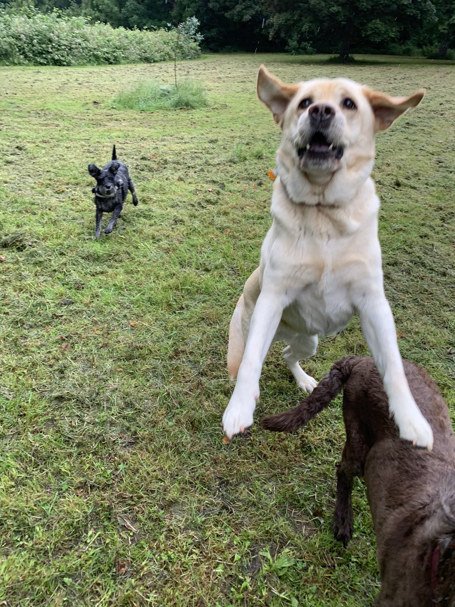 michelegaffney's tweet photo. Rain never stops play at Leader of the Pack! https://t.co/02p5n3a4K6