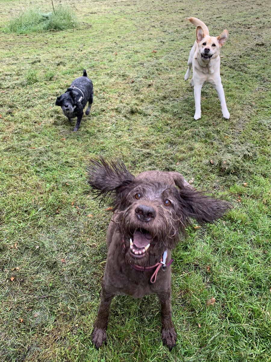 michelegaffney's tweet photo. Rain never stops play at Leader of the Pack! https://t.co/02p5n3a4K6