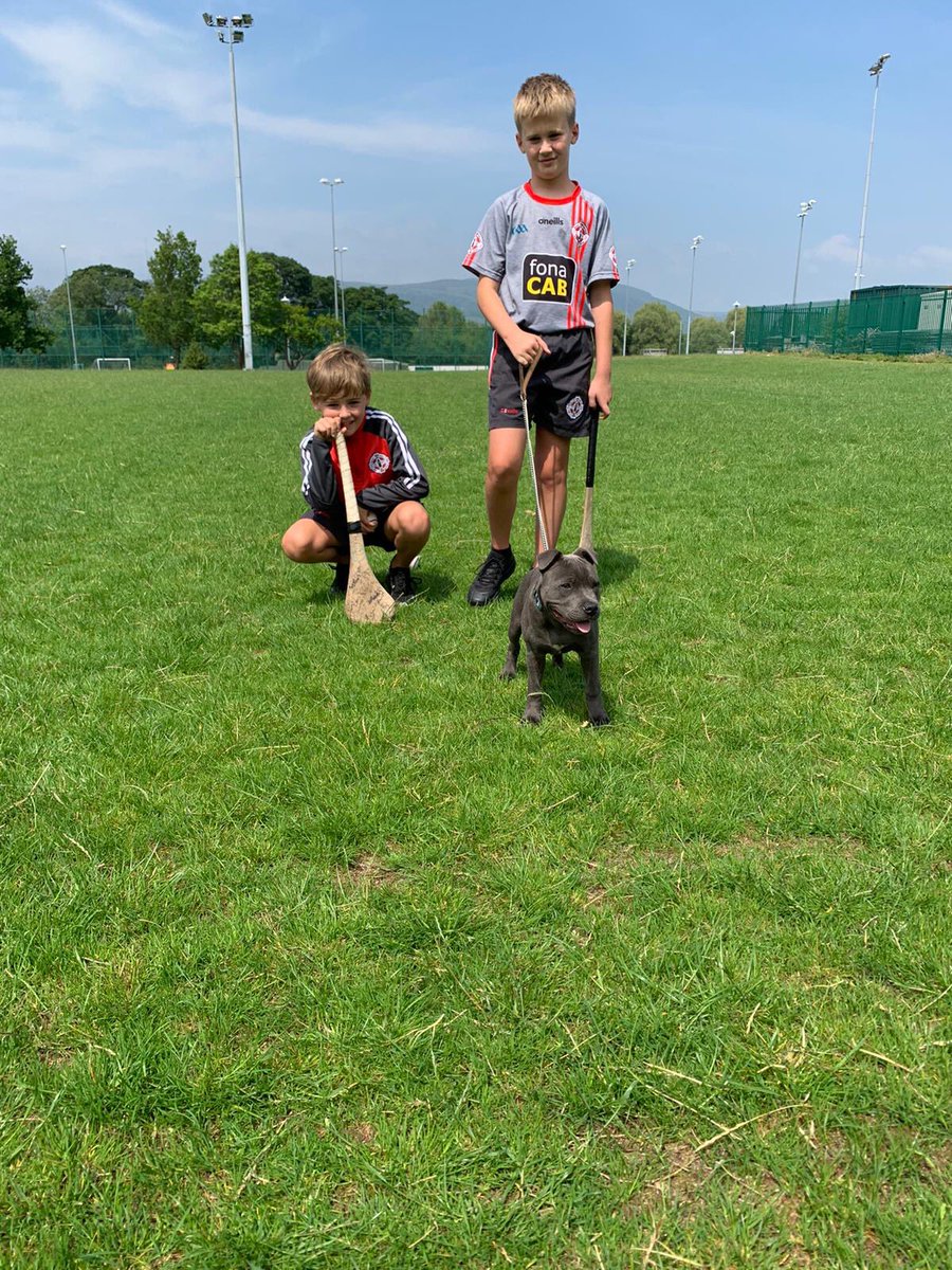 Danielle Gamble (@runsymumsy) on Twitter photo Back over 2 the Dub 4 another run out 2day but this time with a few sticks, a sliotar, a staffie and โฆ<a href="/m6fitz/">Matthew Fitzpatrick</a>โฉ โฆ4 company ๐ Back over 2 the Dub 4 another run out 2day but this time with a few sticks, a sliotar, a staffie and โฆ<a href="/m6fitz/">Matthew Fitzpatrick</a>โฉ โฆ4 company ๐