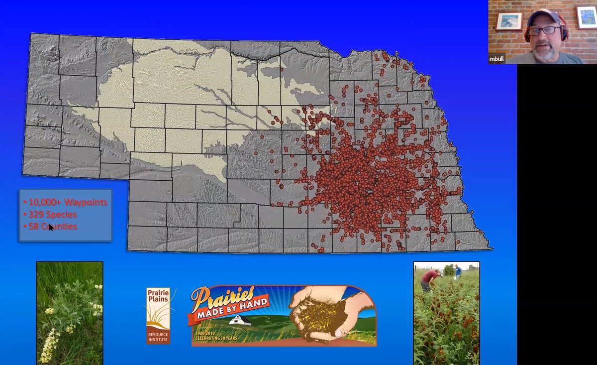 PrairieCorridr's tweet photo. Did you miss yesterday's presentation of "Ecological Restoration in Nebraska:  A Historical Perspective, Work in the Prairie Corridor &amp; the Value of Education" summer seminar series? 

Did you know it was recorded so you can watch it now?
https://t.co/vdw3oDZcse https://t.co/P1Z5XbIILT