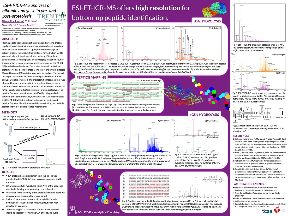 souscc48's tweet image. This poster from Diana Shackleton (Trent University) highlights the use of ESI-FT-ICR-MS in the high resolution structural characterization of the plasma gelsolin protein. @dshacks8 @MarticSanela #eSOUSCC48 (souscc48.com/program/event/…)