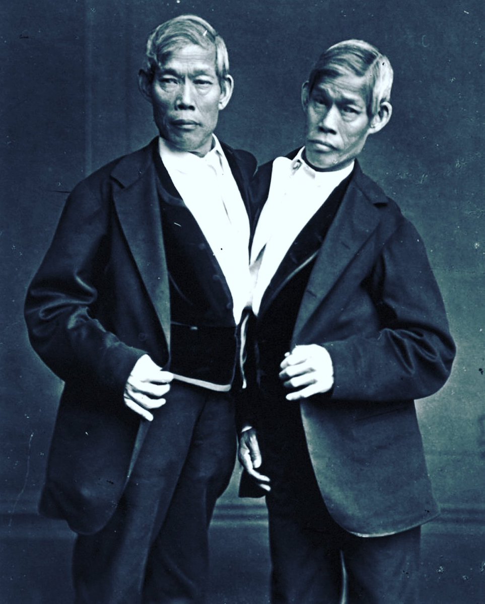 [NEW EPISODE] Chang and Eng were identical twins connected by a band of flesh on their sternums. This is the story of the original Siamese Twins!

#history #historium #podcast #historypodcast #siamesetwins #conjoinedtwins #podernfamily

Listen here: orbitaljigsaw.com/podcasts/histo…