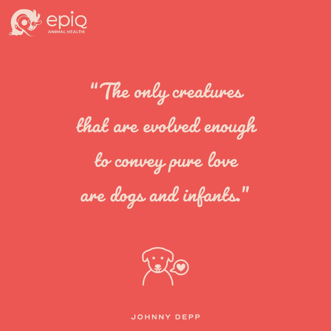 EPiQ Animal Health tweet media