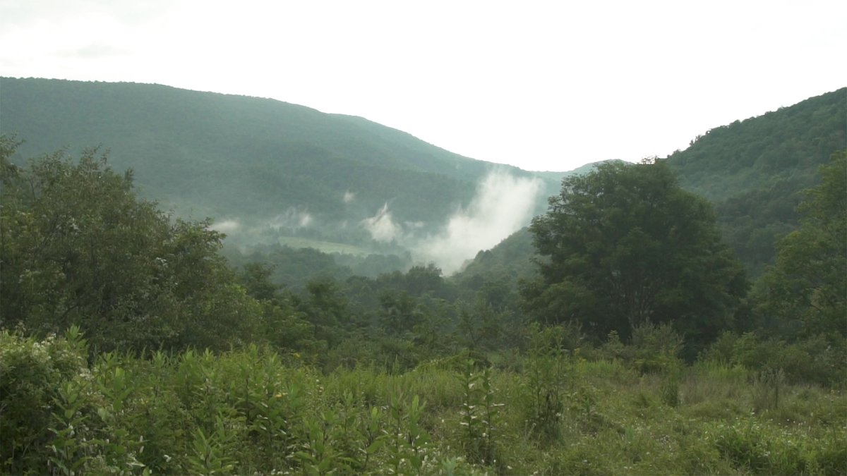 Atlantic Coast Pipeline tweet media