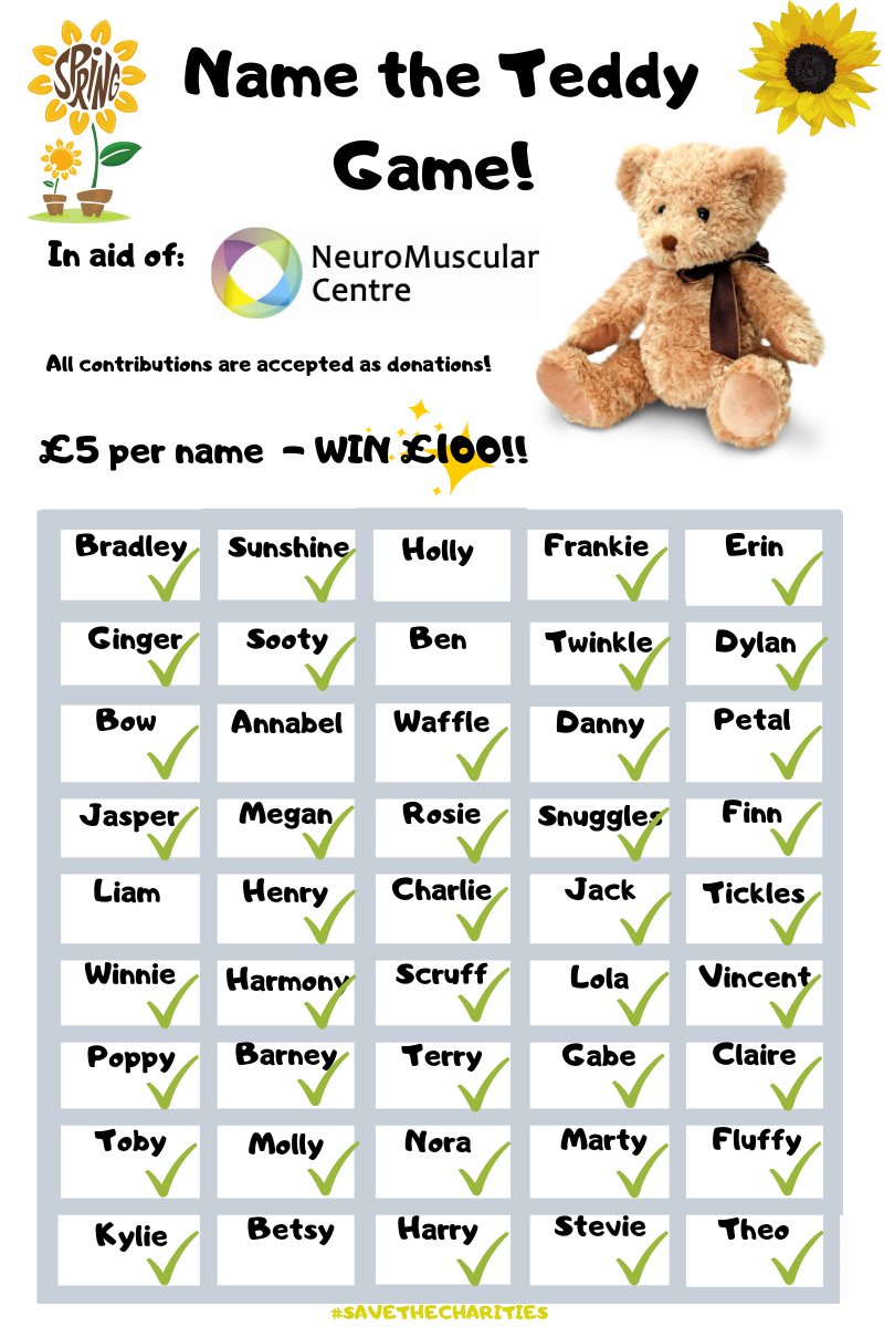 name the teddy 100 names