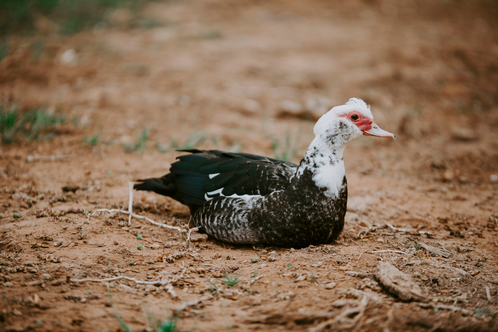 You never know who will show up to one of our events!

Our motto?

The more the merrier.