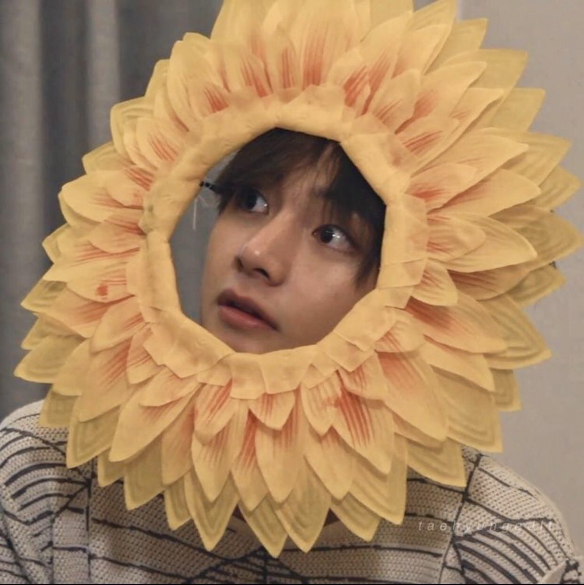 ~End of thread~ In conclusion no flower is as beautiful as kim taehyung