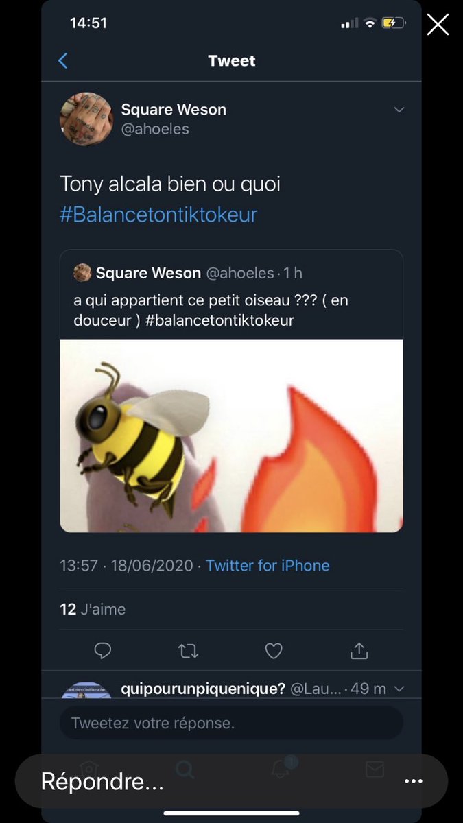 Heu les gars c’est pas ma teub déjà j’me rase oech et j’en es une plus grosse 🙄 et si tu l’afficher sans les emoji pour montrer au gens que tu te fou bien de leur gueule? #balancetontiktoker @ahoeles