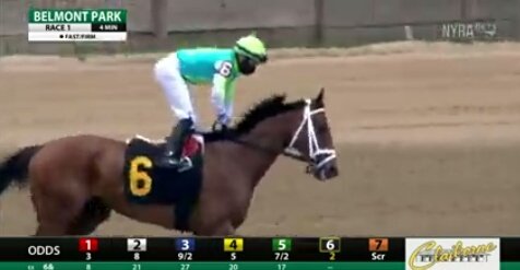 CarreraDeyvis's tweet image. BELMONT #6SF So Darn Hot