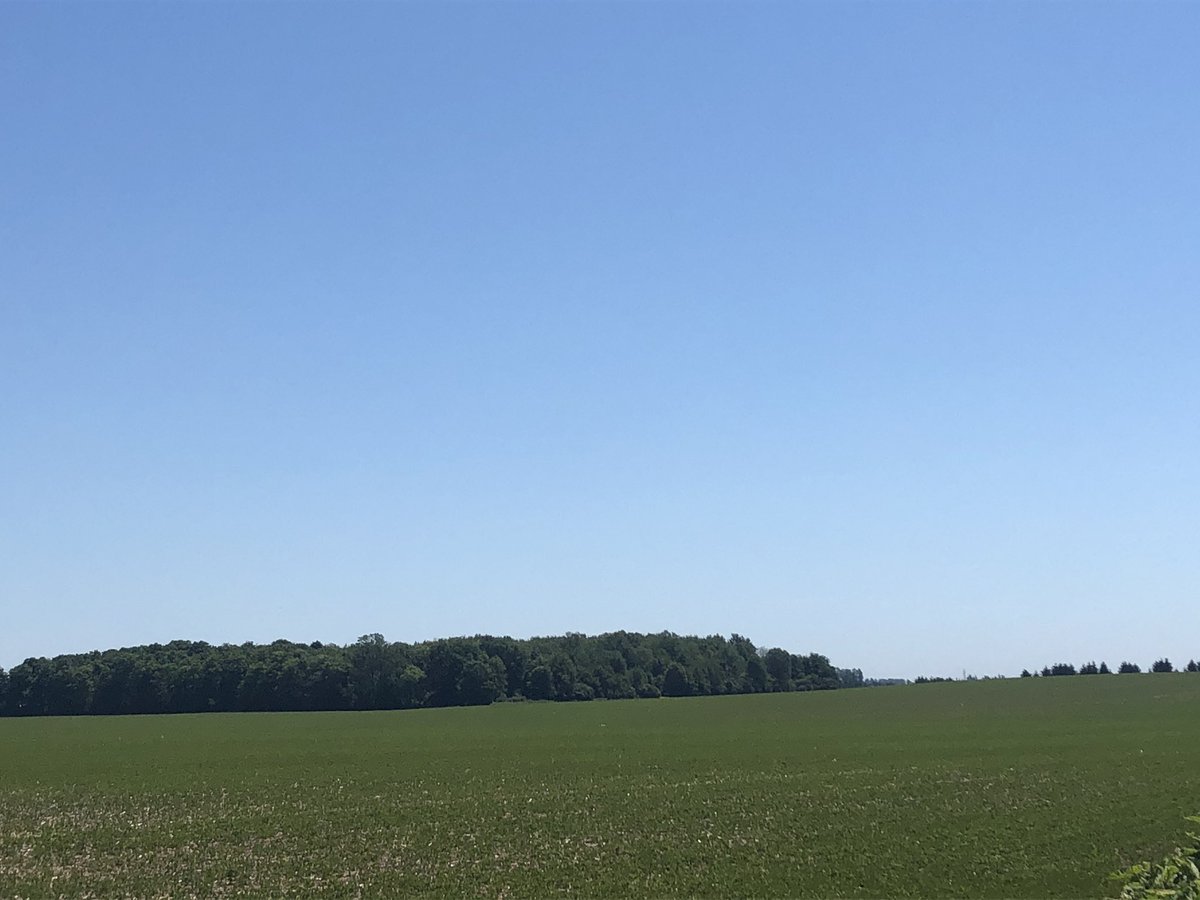 LaguitoGal's tweet photo. What did I have for lunch? Nothing but trees, farmerโs crops, and blue skies.
#runch #CountryRunner #TrailTime https://t.co/XVQt9hcelx