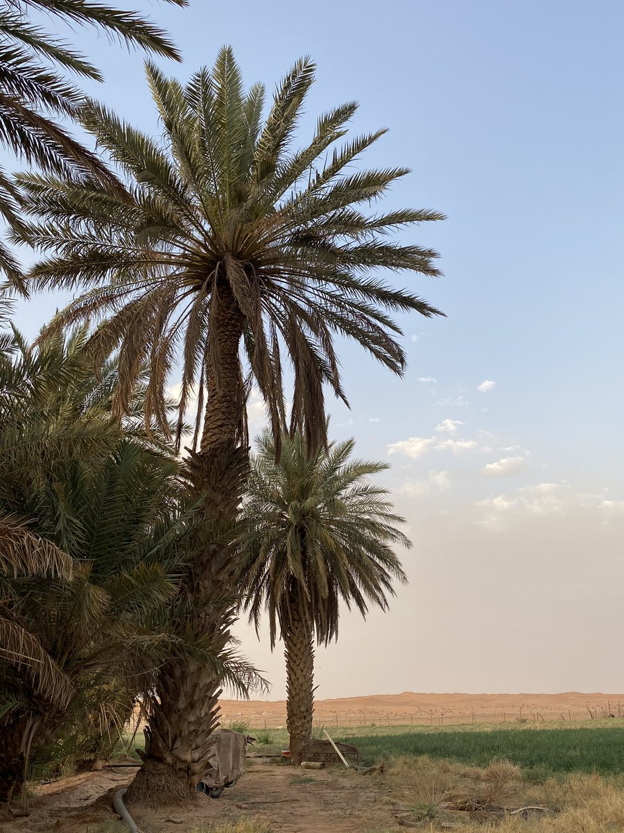 من القائل ..؟ 

لا تفتخر في كسر غيرك ياعنيـد 
بكره ورآك حسآب وعقآب وحشـر

أكسر قلم أكسر شطر أكسر قصيد
 بس انتبه في دنيتك تكسر بشـر

#راقت_لي #تغريدة_صوتية #السعودية #الكويت #شعر #قصيدة