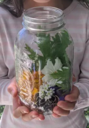 EdgemontGr2CBE's tweet photo. Grade 3 students read the book 'In a Jar' this week. I really enjoyed seeing the submissions coming in and seeing the connections students are making. ❤️ https://t.co/Oyjm3ajiqM