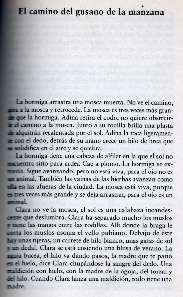 Damarosor's tweet photo. Después de leer esto --no les voy a pedir nada más--, ¿@ElGerryChicago y sus legiones del #TeamLeonora no entrarán en razón?
#LiteraryDeathMatch #LDM2 https://t.co/S5TtngTDHf