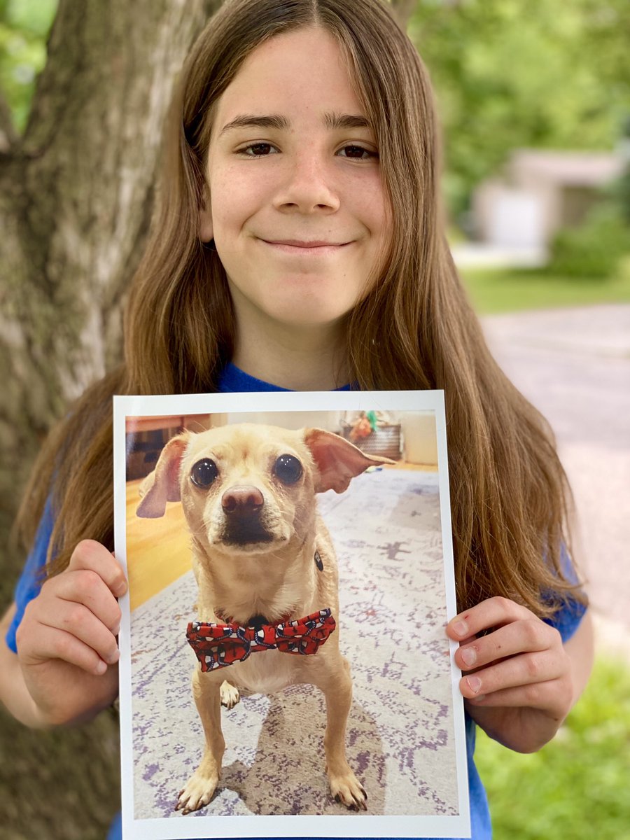 IvePetThatDog's tweet photo. I would love to pet Waldo. He is a 3 year old Chipompooweenie. He thinks everyone he sees is there to see him, and everyone on their phone is talking to him. Waldo’s friendliness wins over people who don’t even like Chihuahuas. Waldo loves his family and his world full of friends https://t.co/uUcKAR5Zg4
