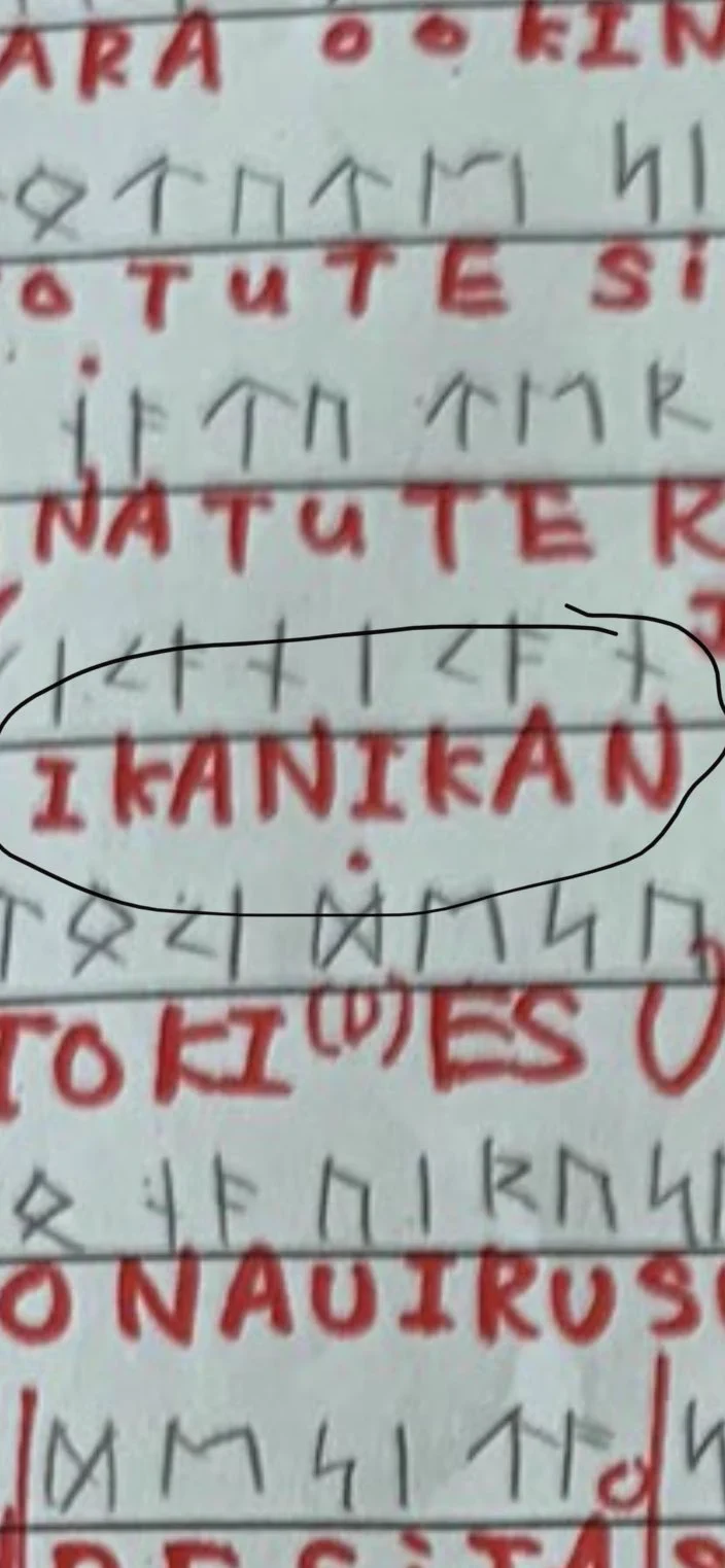 @kedamadamaK イカ二貫 