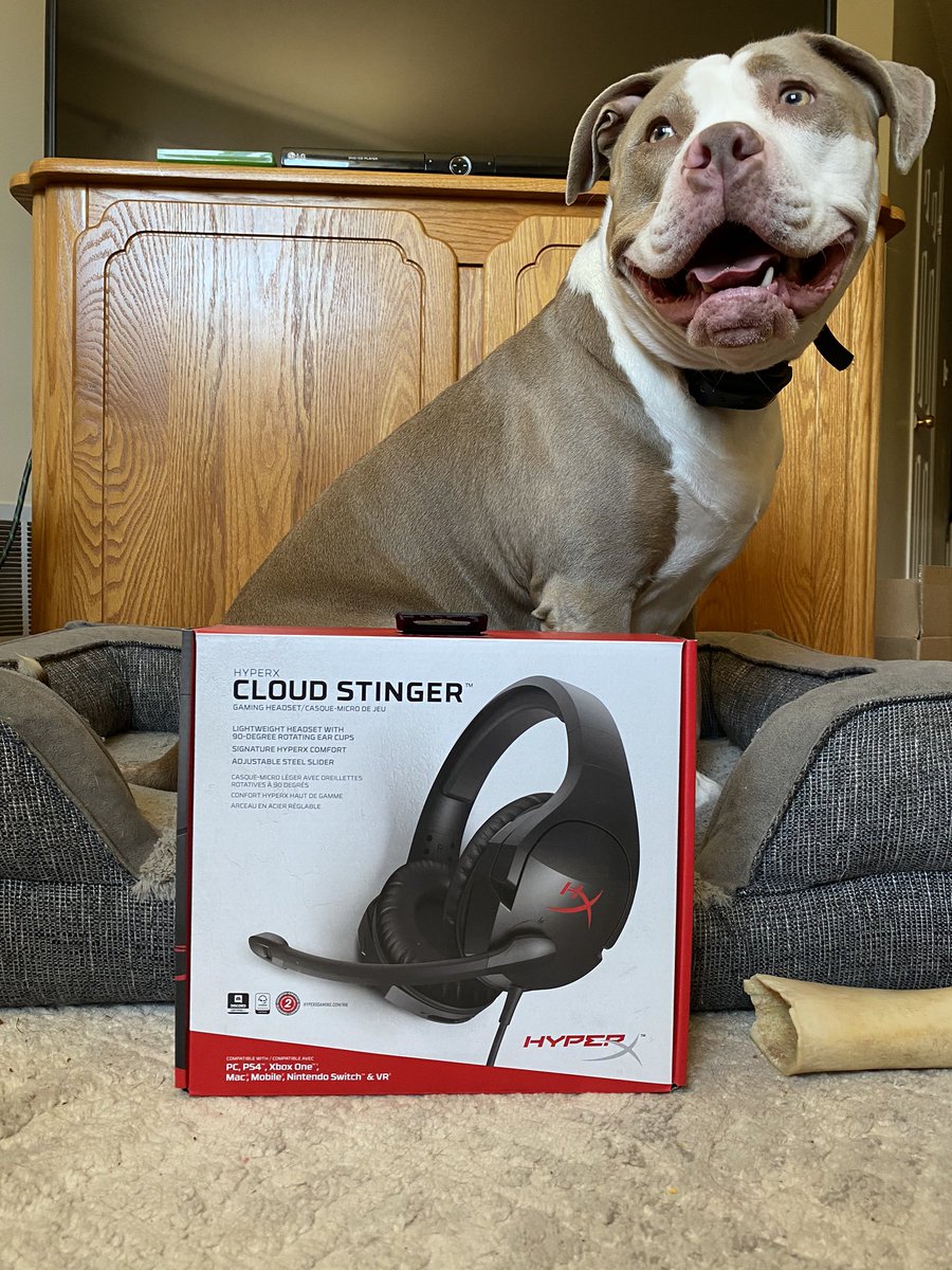 ursoulsrmine's tweet photo. My new headsets came in today and my dog Approves @hyperx #hyperxcloudstinger Friday for uncharted 4 😁 https://t.co/fntrHiWuoc