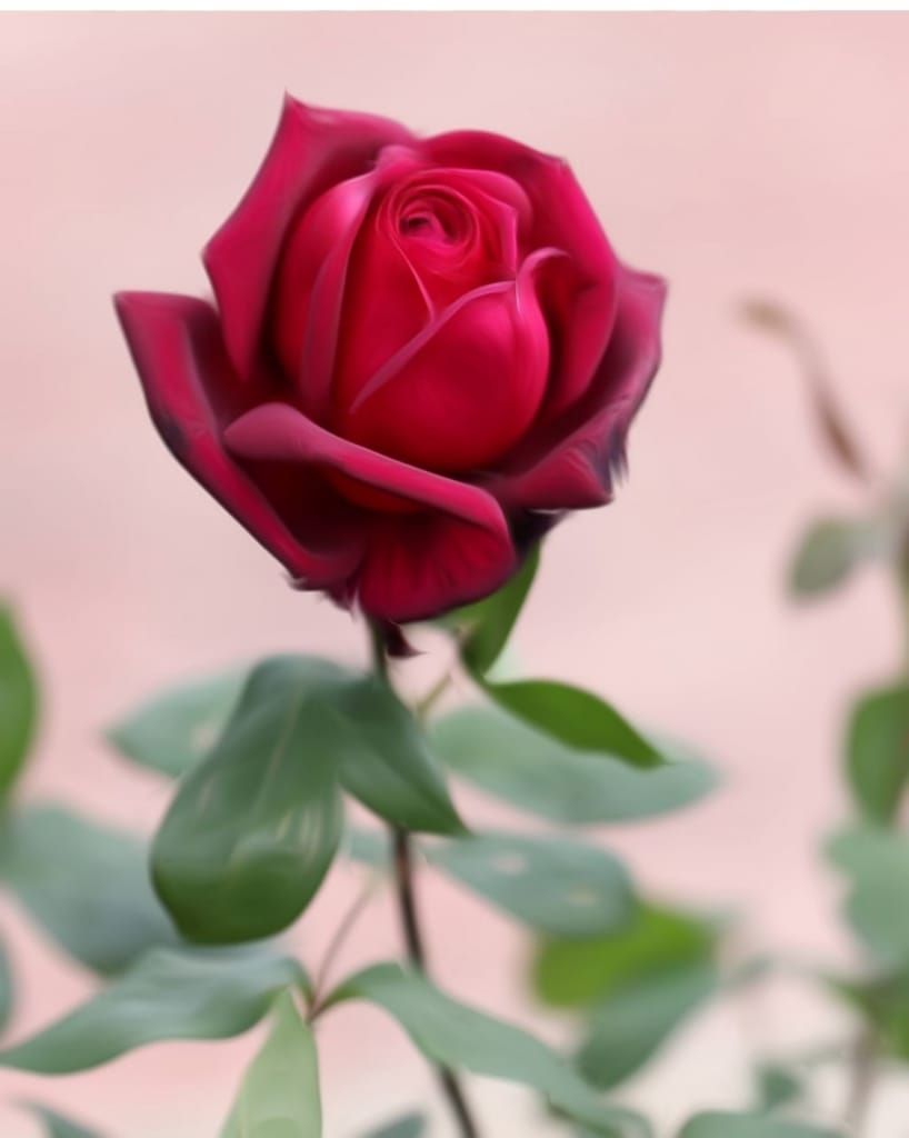 ونفسي عامرة باحترامكم،
   حالمآ بأن تكونوا في أحسن حال ... 
         أُرسل الود ولا ارتقب الرد...
         ذلك حديث القلب للقلب.
🌴 أحاطكم الله الكريم برعايته،
 ومنّ عليكم بمغفرته،
  وأمدكم بالصحة والعافية ،
    ورزقكم الله قبول الدعاء،،
      وبركة العمر والعافية