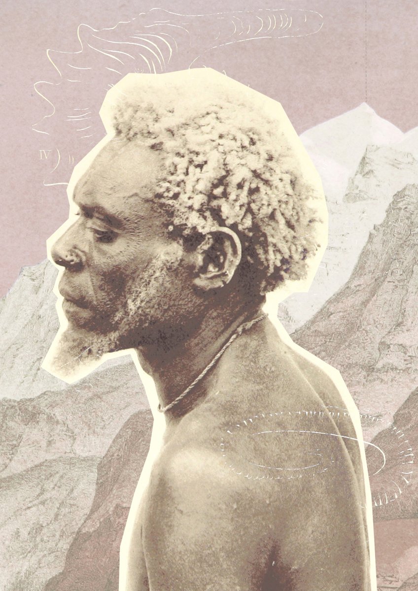 thePDlibrary's tweet image. #collage using digitised images from the @britishlibrary Flickr photostream