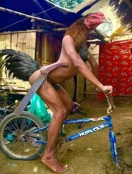 The sexiest chicken I've ever seen riding a bicycle.. #funnythoughts #sexy #chickengirl😂😂😂🐔🐔🐔🚲🚲 https://t<a href="/tag/sexy"class="tags"><span>#sexy</span></a><a href="/tag/funnythoughts"class="tags"><span>#funnythoughts</span></a><a href="/tag/chickengirl"class="tags"><span>#chickengirl</span></a>
